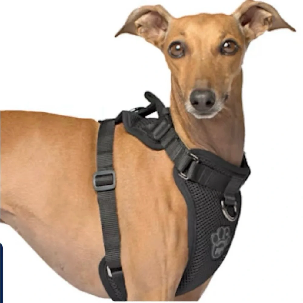 Canada Pooch Everything Dog Harness